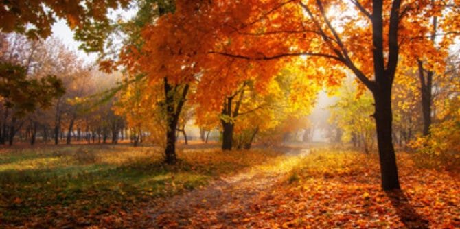 How to Read a Weather Map Like a Professional Meteorologist | Weather ...