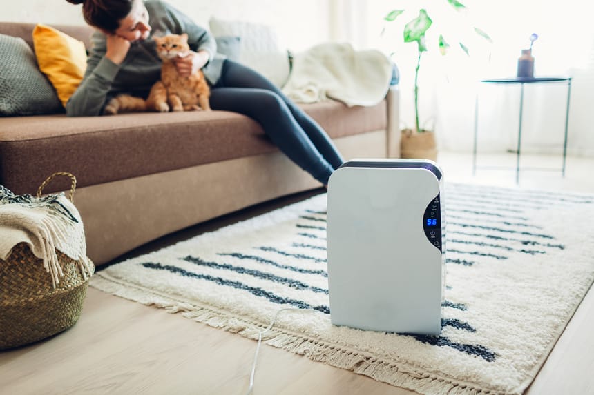 Dehumidifier running in a home with a woman on the couch