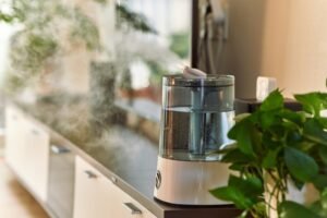 Diffuser vs. Humidifier: What’s the Difference? | Weather Station Advisor