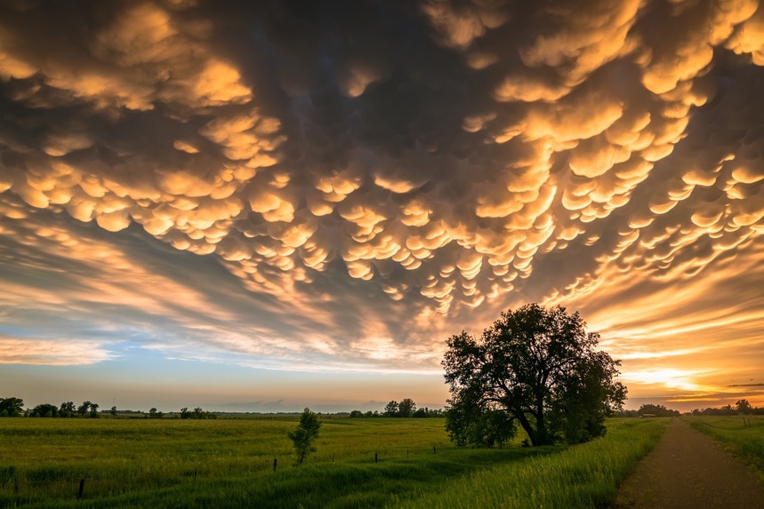 Mammatus clouds hanging beneath a thunderstorm in the Great Plains