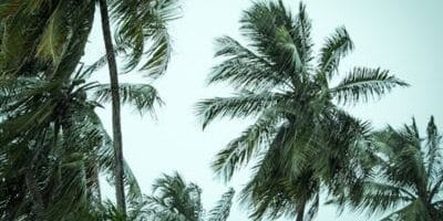 15 Deadliest Tropical Cyclones
