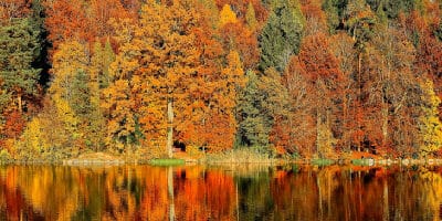 Fall Destinations in the USA