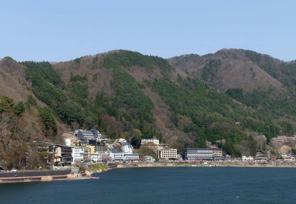 Minamata Disease