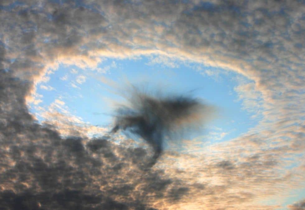 The Skypunch